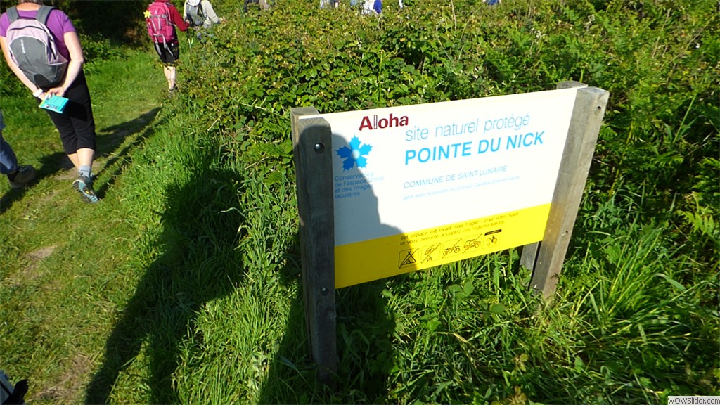 P1020032