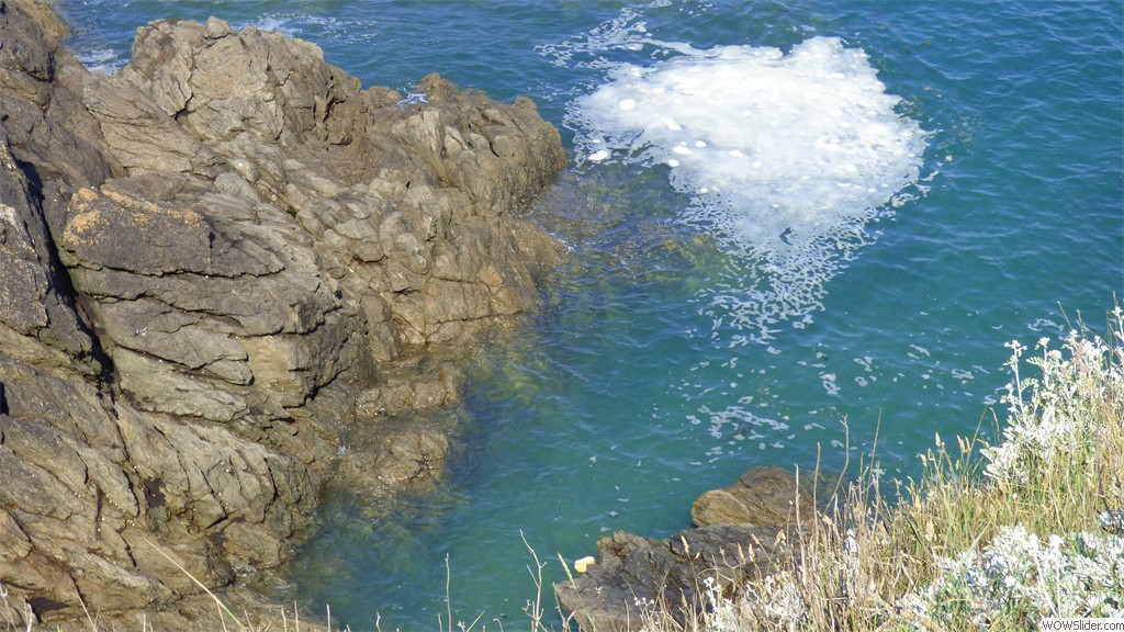P1020089