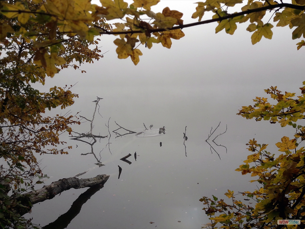20161101_104817