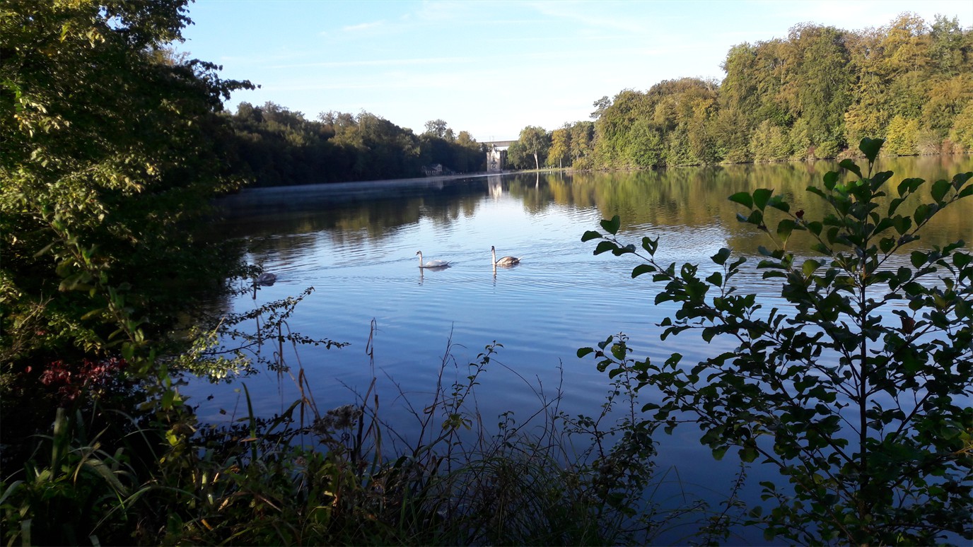 20160927_093141